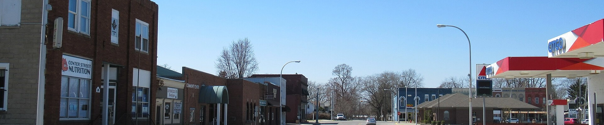 Local pros in Petersburg, MI