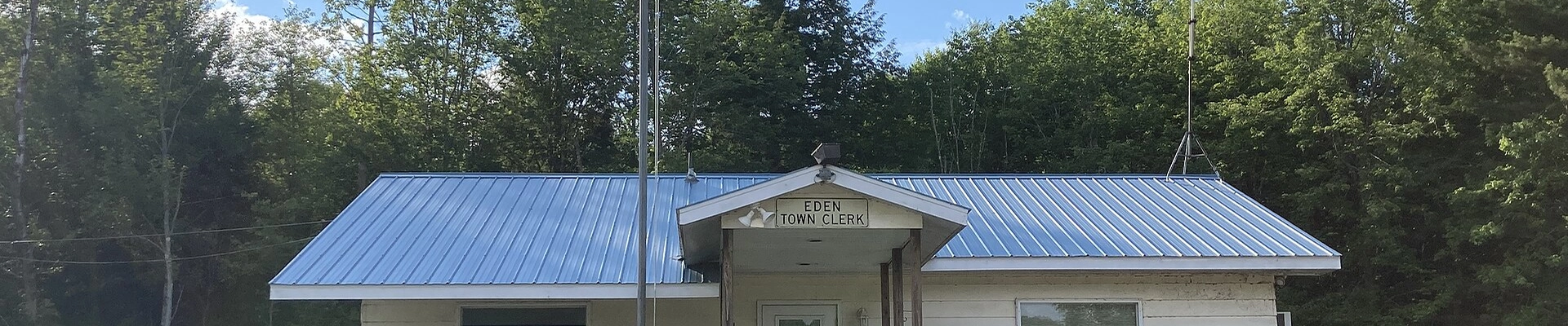 Arborist providers in Eden