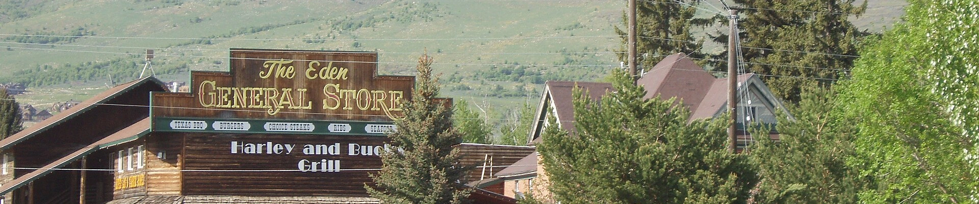 Landscaping and Electrical in Eden
