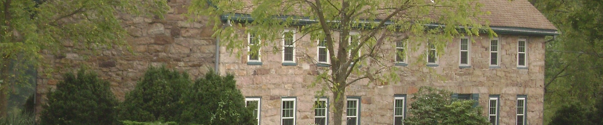 HVAC and Tree in Mt Pleasant