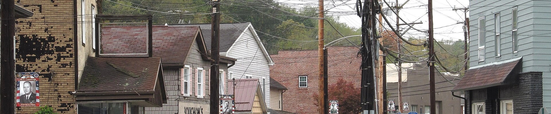 Tree in Imperial, PA