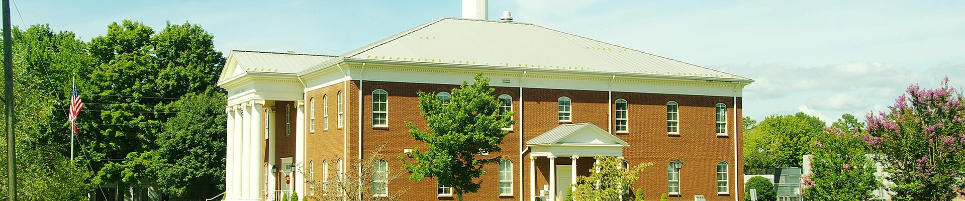 Tree in Altamont, TN