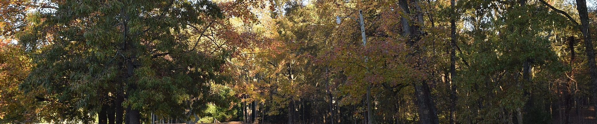 Local pros in Oxford, MS