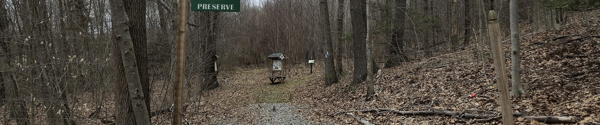 Contractor and Tree in Hamden