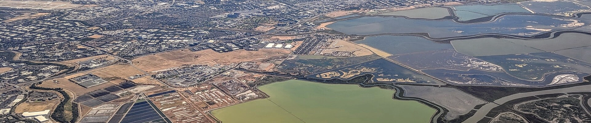 Local pros in Alviso, CA