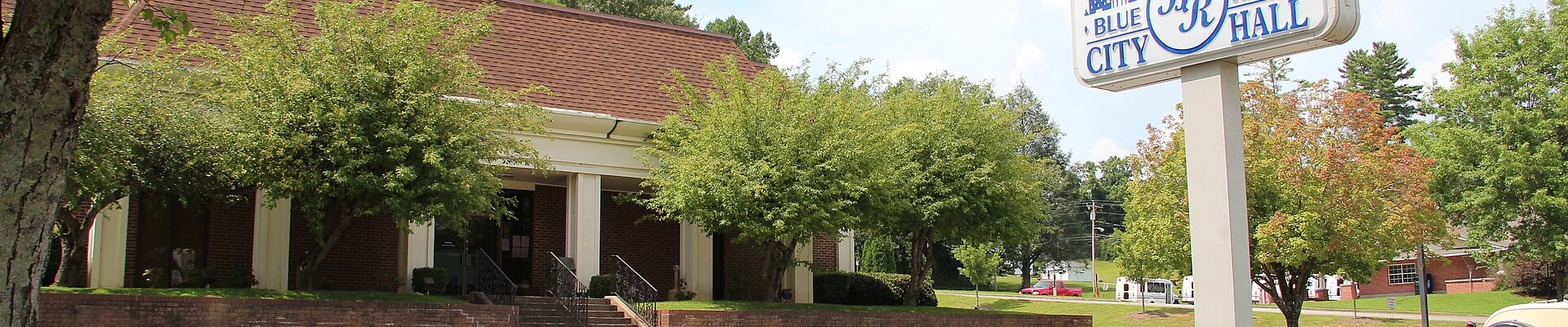 Tree in Blue Ridge, GA