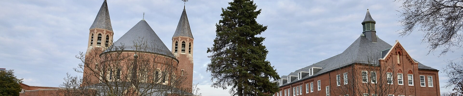 Tree, Landscaping, and Electrical in O'Fallon
