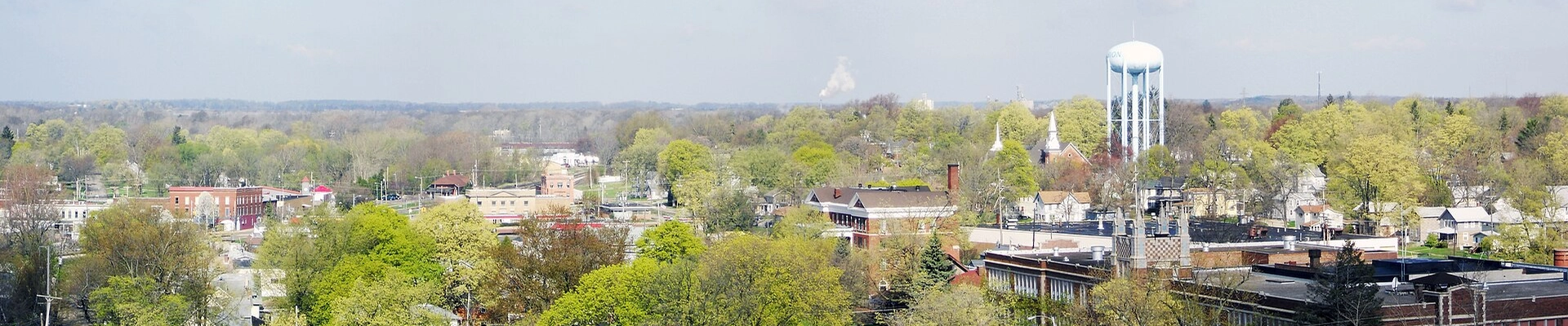 Local pros in Albion, MI