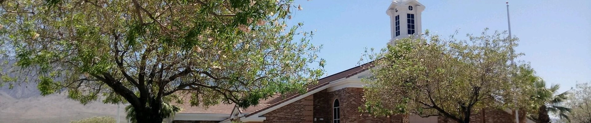 Local pros in Littlefield, AZ