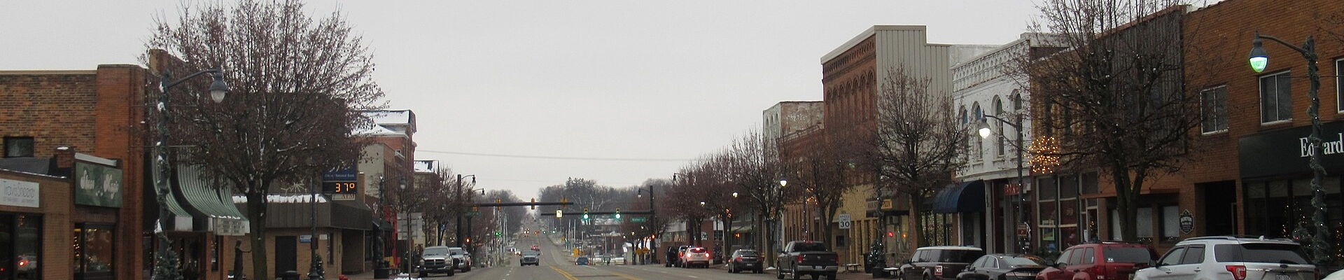 Tree in Jonesville, MI