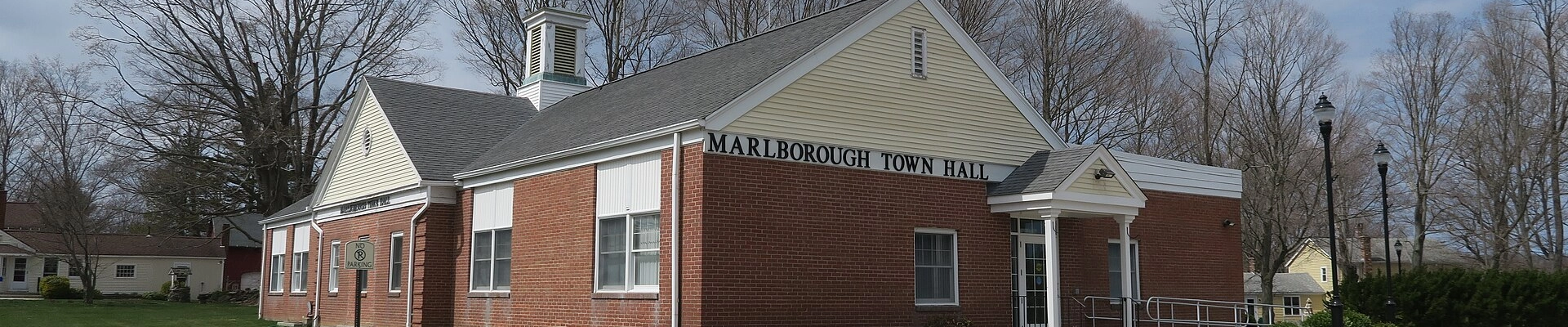 Tree, Electrical, and Plumbing in Marlborough