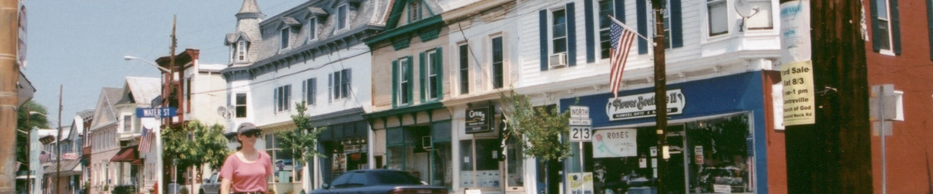 Local pros in Centreville, MD