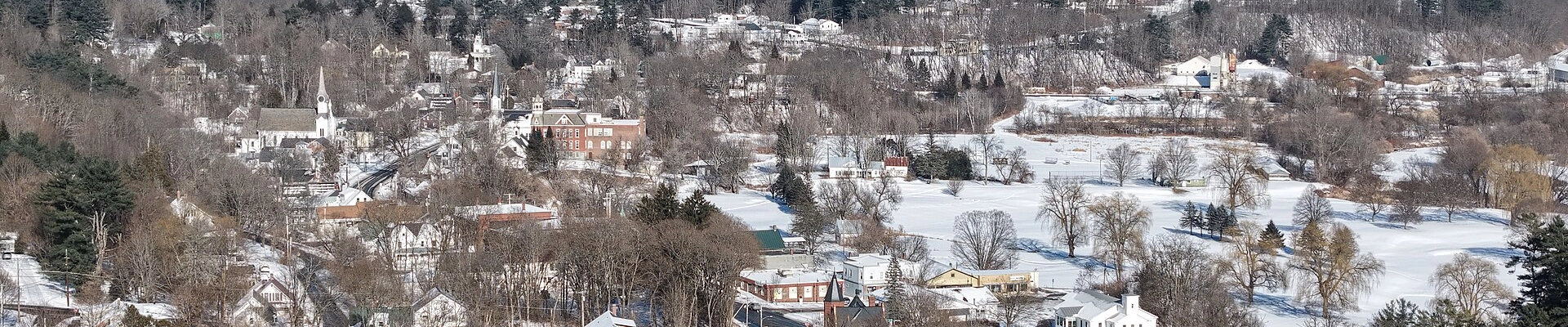 Local pros in Bradford, VT