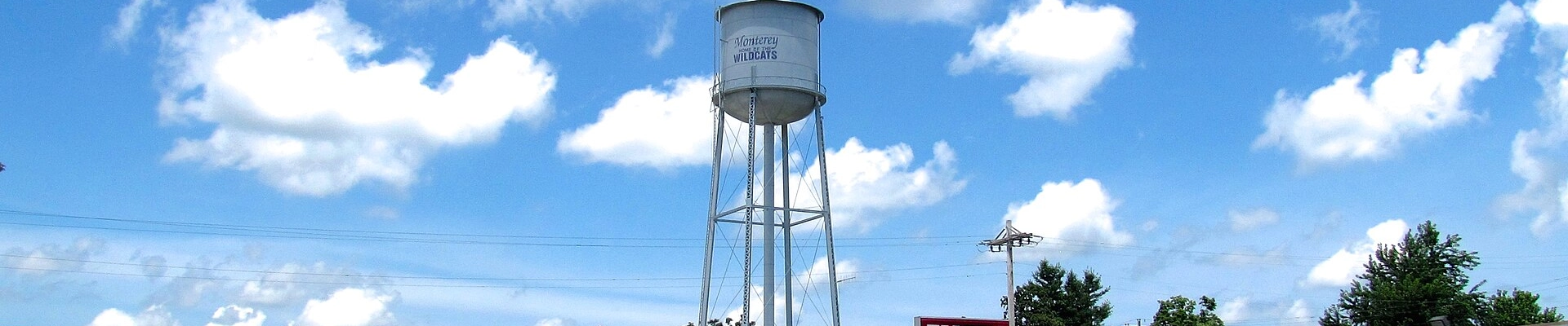 Local pros in Monterey, TN