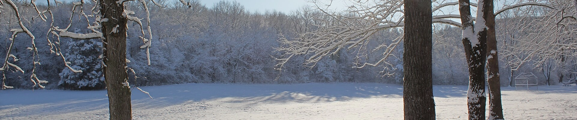 Electrical in Walnut Grove, MO