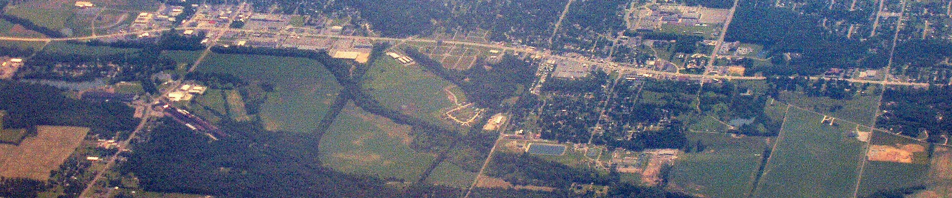Tree providers in New Castle