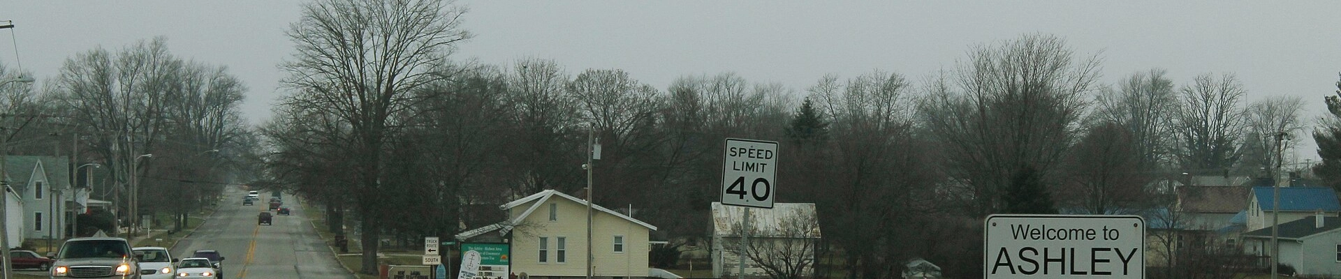 Tree in Ashley, IN