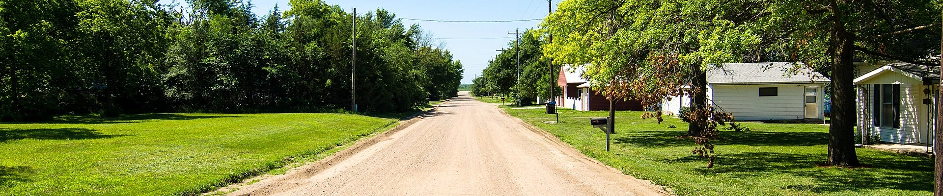 Tree in Holmesville
