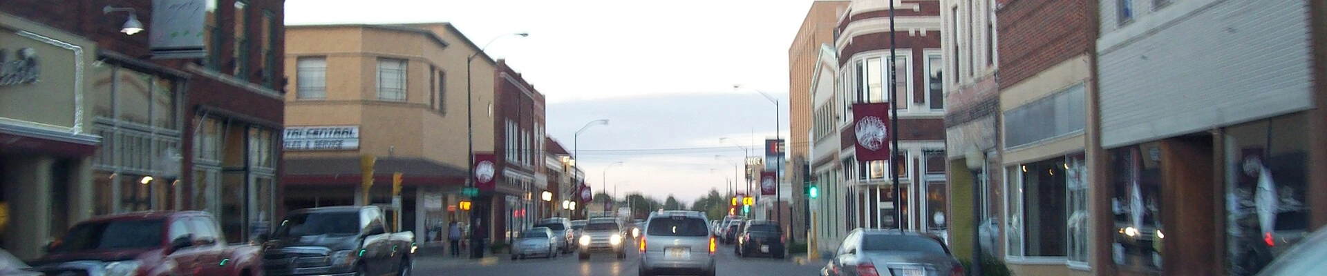 Tree providers in Hays