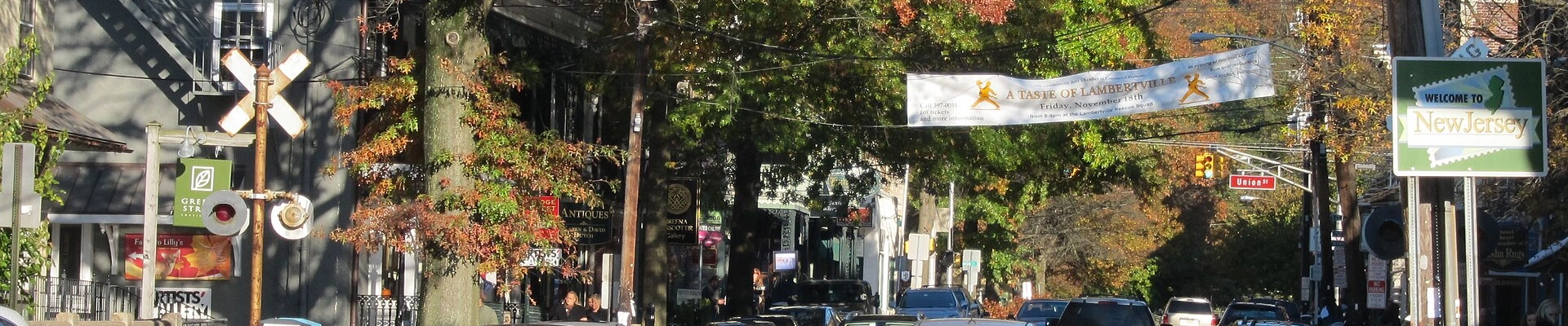 Tree in Lambertville