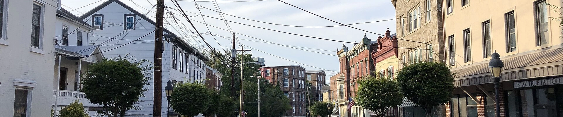 Tree in Spring City