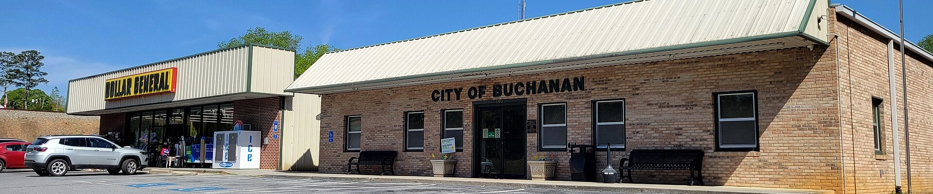 Tree in Buchanan