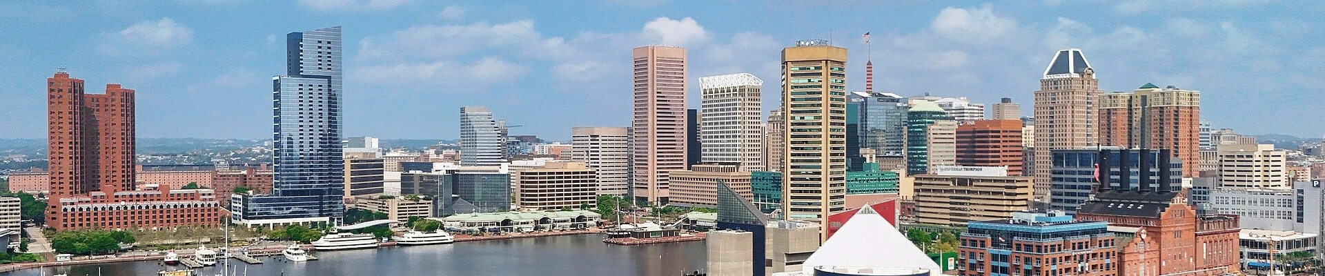 Local pros in Baltimore, MD