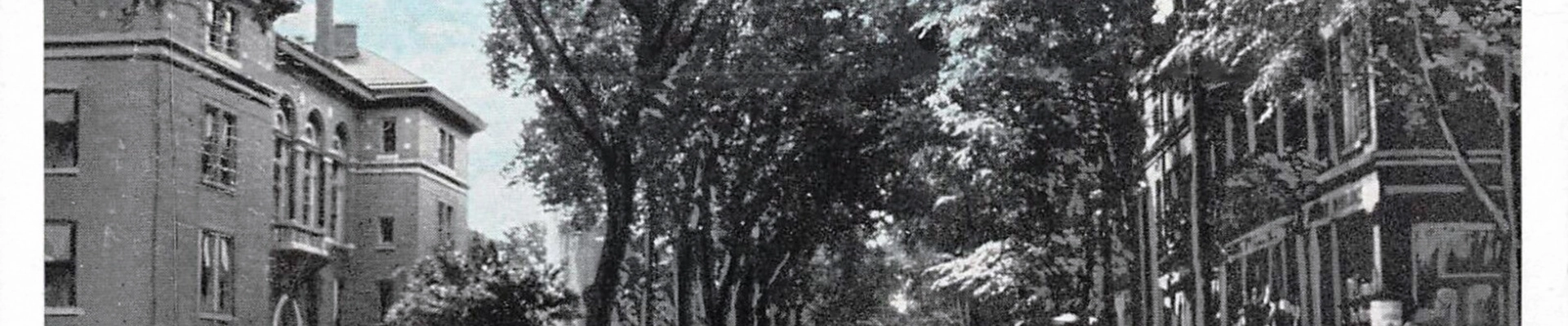 Plumbing, Electrical, and Tree in York