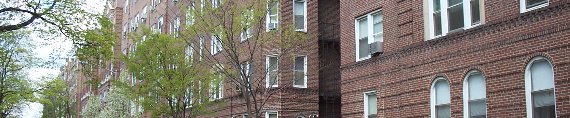 Local pros in Jackson Heights, NY