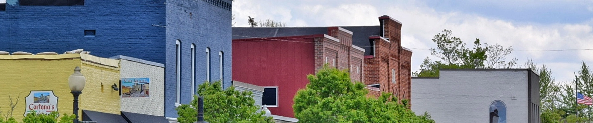 Tree providers in Fortville