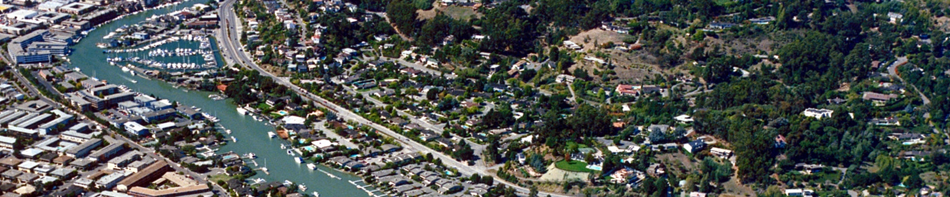 Local pros in San Rafael, CA