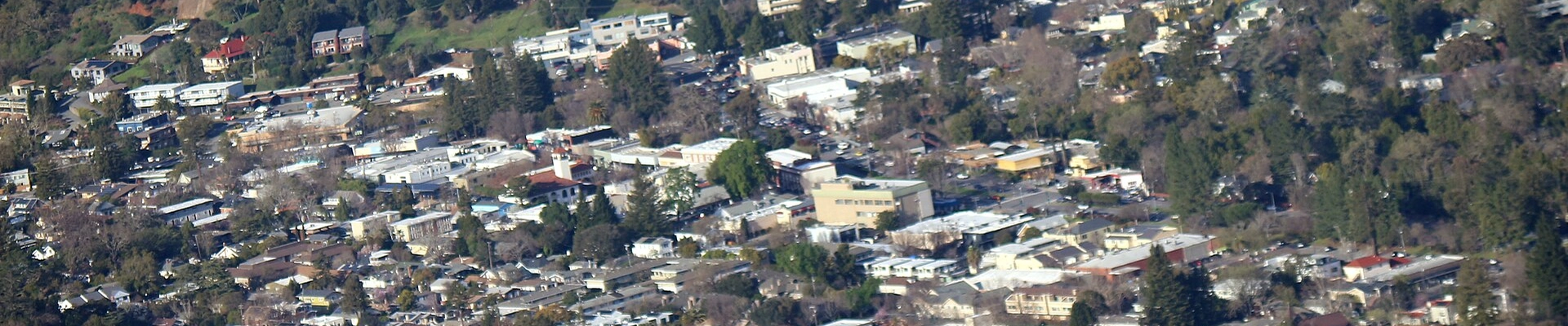 Local pros in San Anselmo, CA