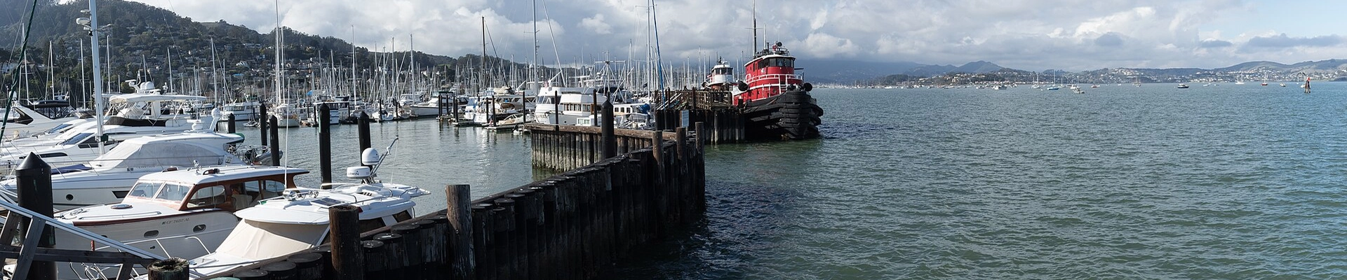 House Cleaning, Electrical, and Plumbing in Sausalito