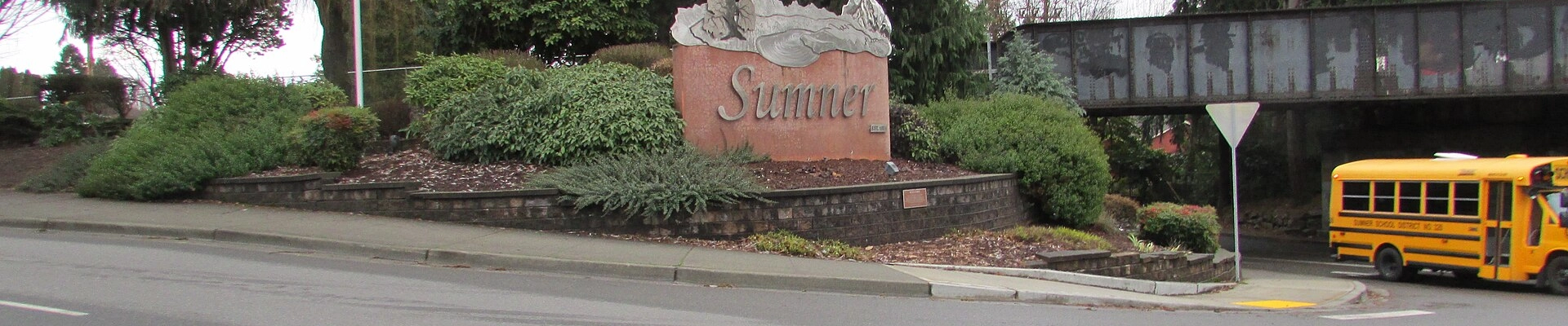 Local pros in Sumner, WA