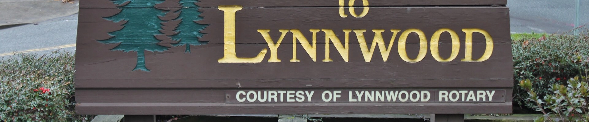 Plumbing, House Cleaning, and HVAC in Lynnwood