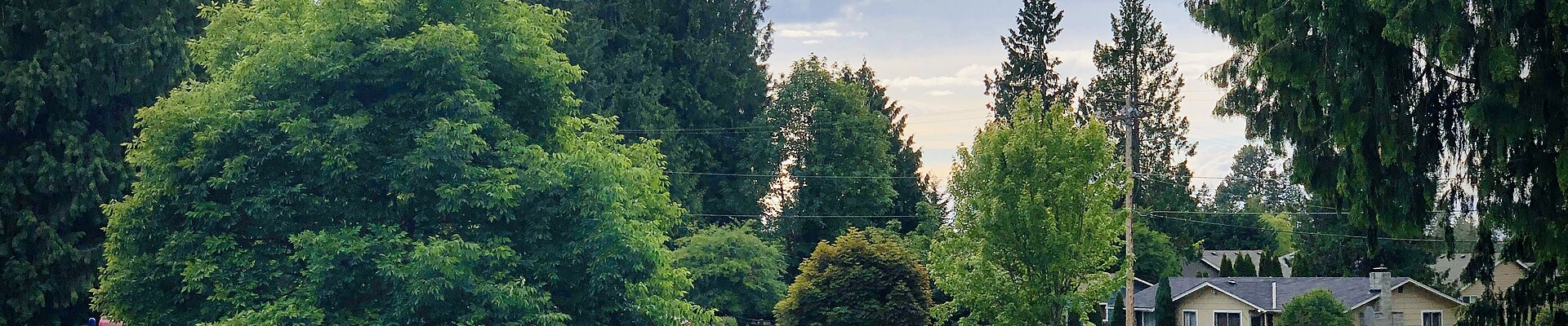 Electrical providers in Bonney Lake