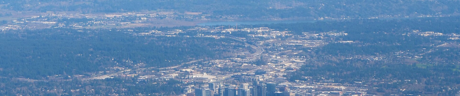 Local pros in Bellevue, WA