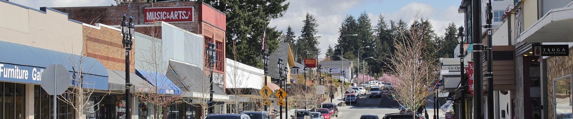 Local pros in Bothell, WA
