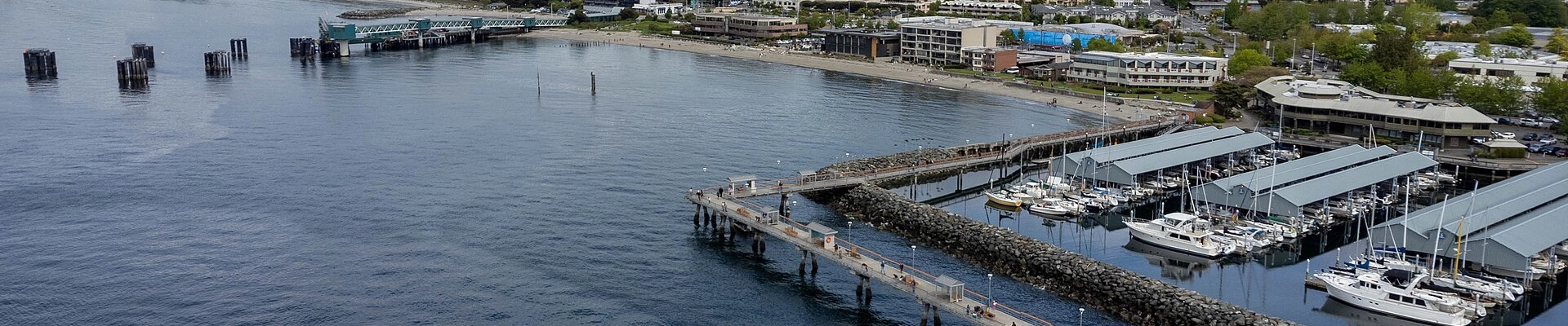 Local pros in Edmonds, WA