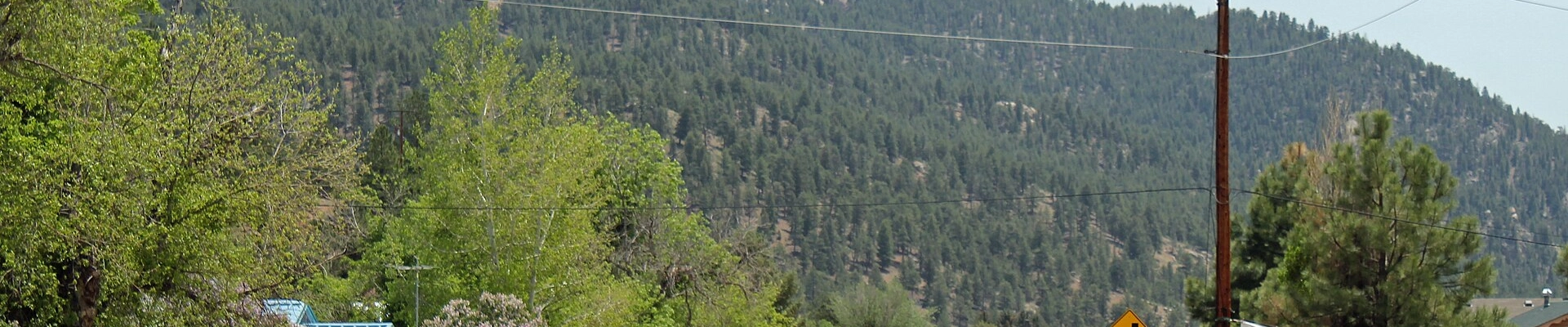 Electrical providers in Pine