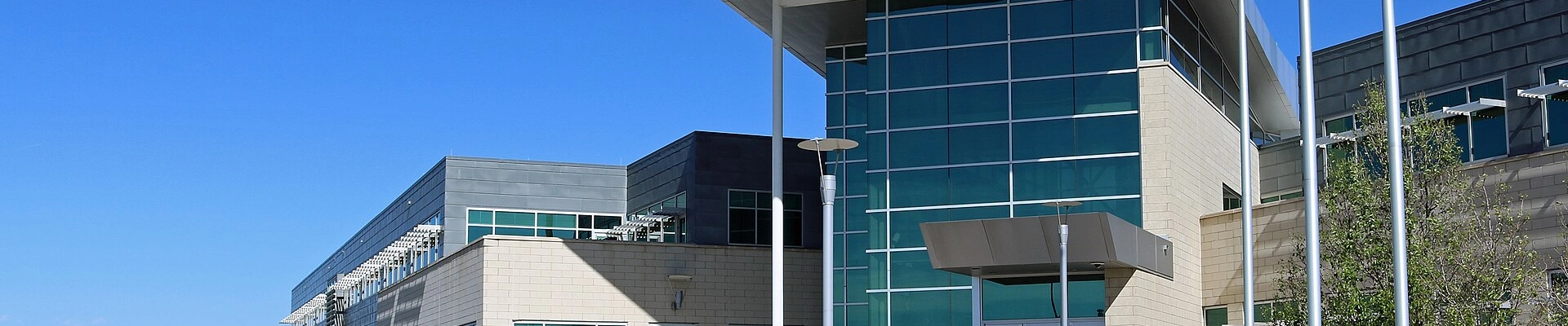 Local pros in Commerce City, CO