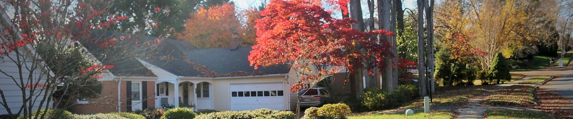 Local pros in Annandale, VA