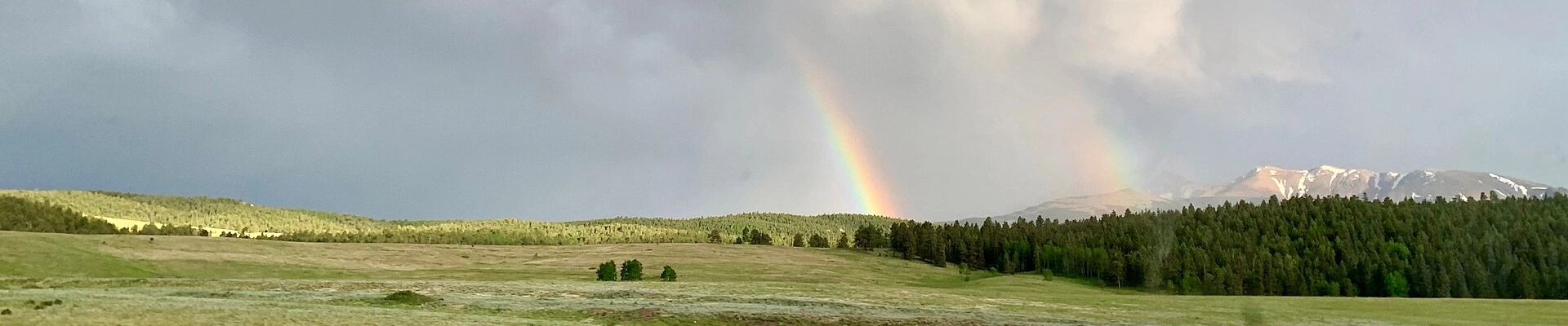 House Cleaning in Woodland Park, CO