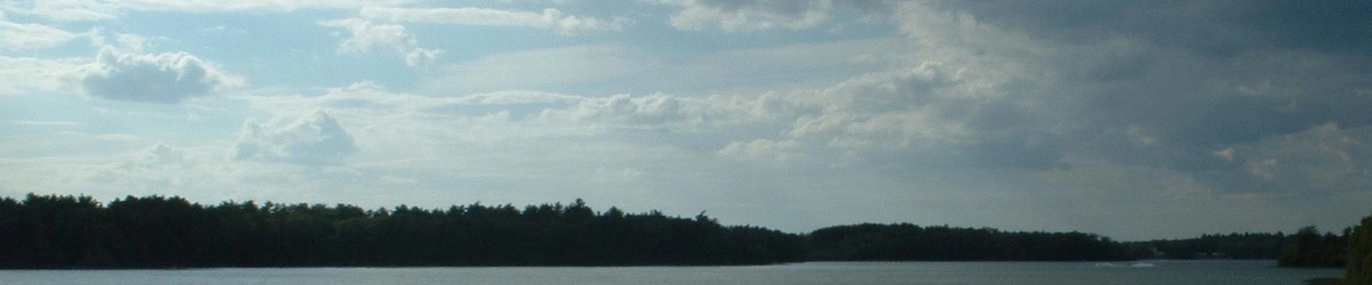 Plumbing, Tree, and Landscaping in Halifax