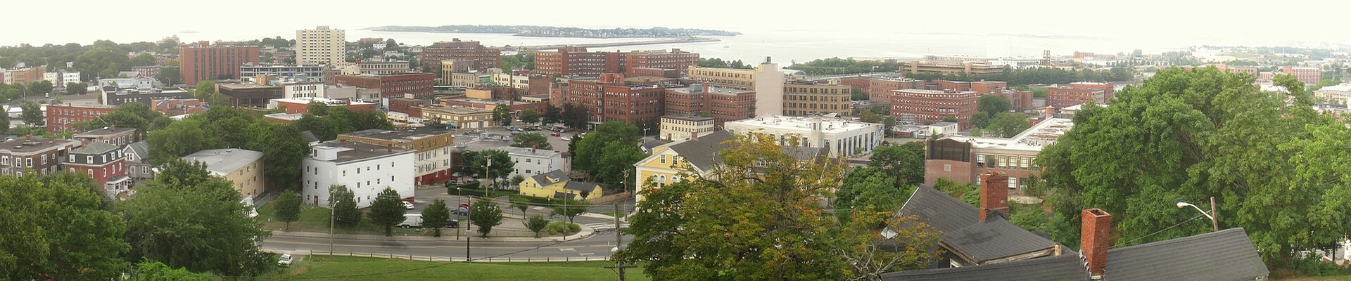 Landscaping providers in Lynn