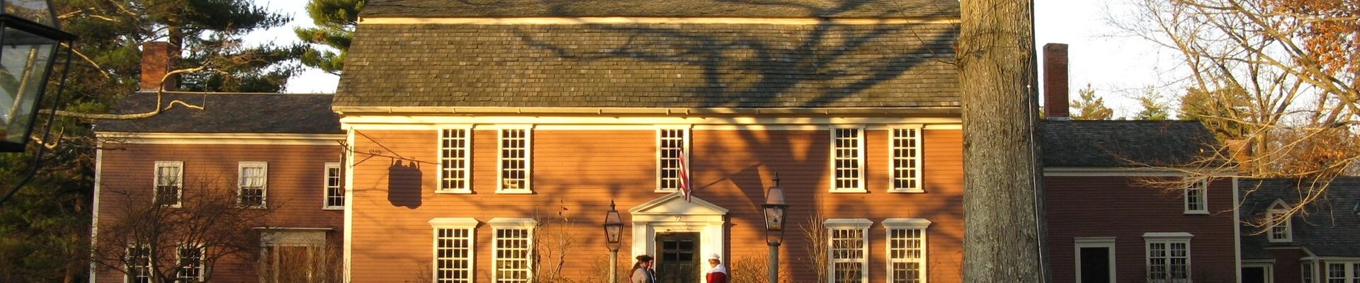 Tree in Sudbury, MA