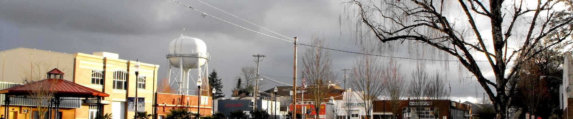 Landscaping, House Cleaning, and HVAC in Woodburn