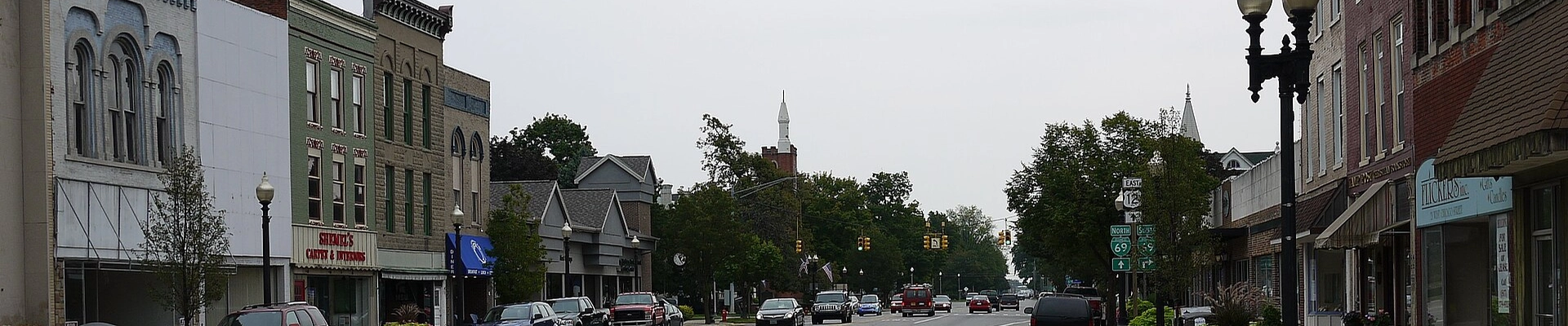House Cleaning, Landscaping, and Tree in Coldwater