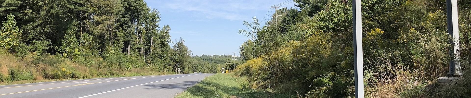 Local pros in Sykesville, MD