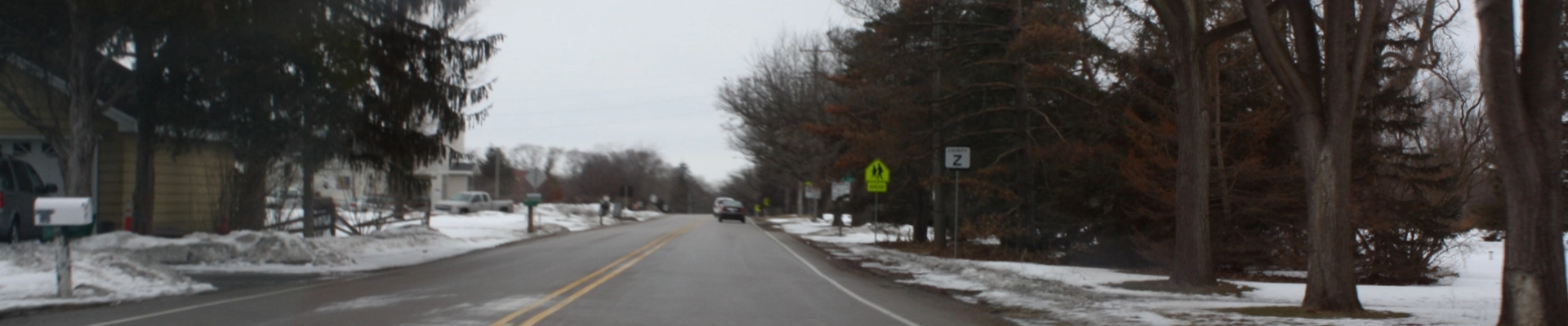 Tree providers in Dousman